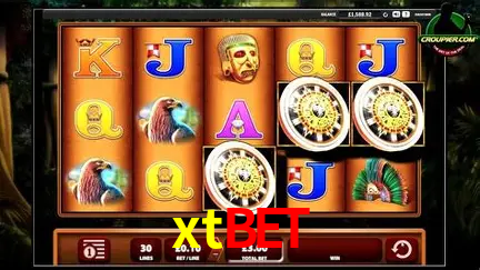 A Experiência Imersiva dos Cassinos Ao Vivo no xtbet